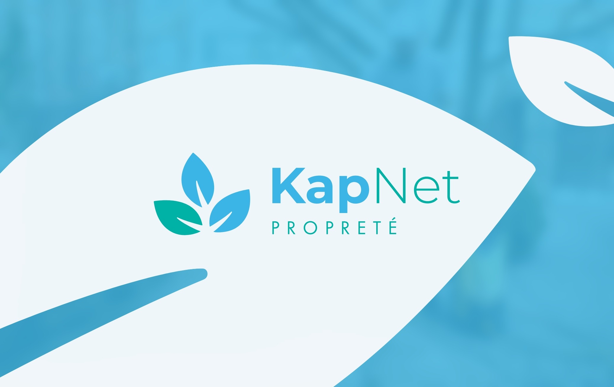 Réalisation Nidyanet pour Kapnet